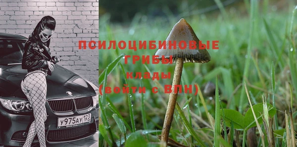 бутират Абаза