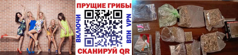 KRAKEN сайт  Пойковский  Галлюциногенные грибы мицелий 